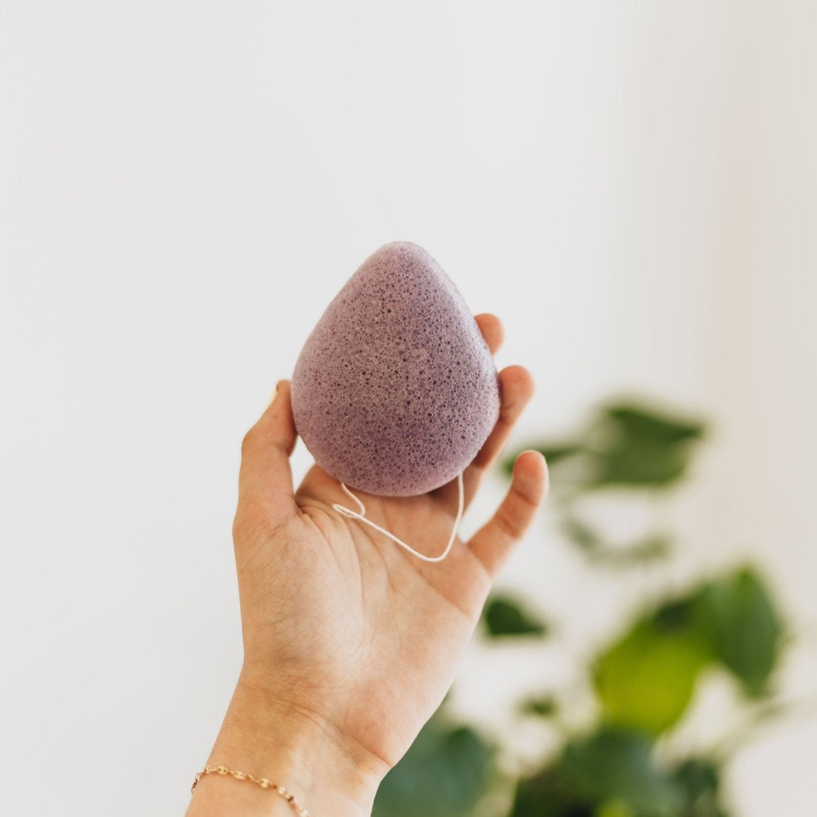 Calming Konjac Sponge - Lavender bkind